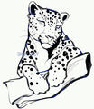 Sketch