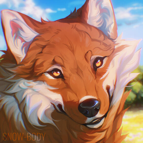 Feral