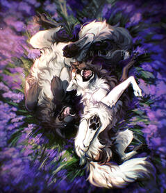 Standard Feral + Simple bg.